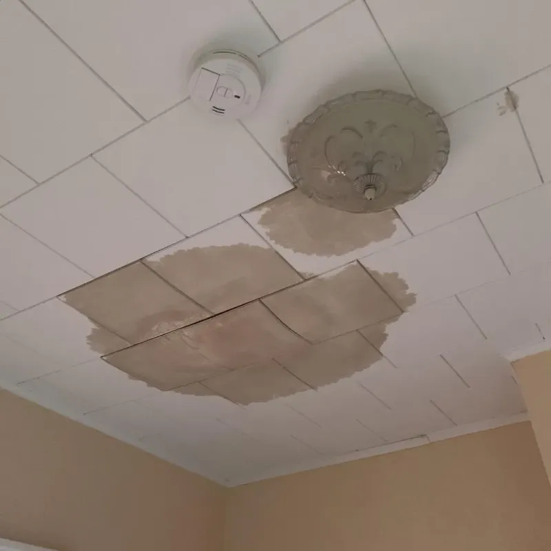Ceiling Water Damage Repair in Pembroke, GA